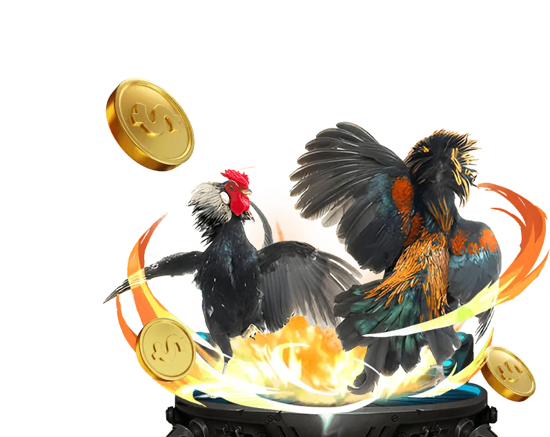 Hướng dẫn cá cược thể thao Hi8823